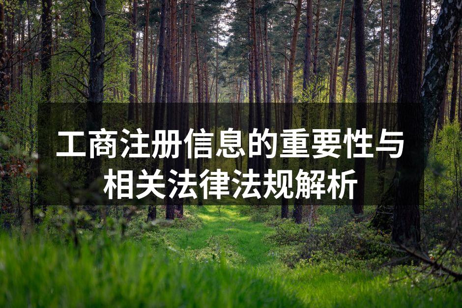 工商注册信息的重要性与相关法律法规解析