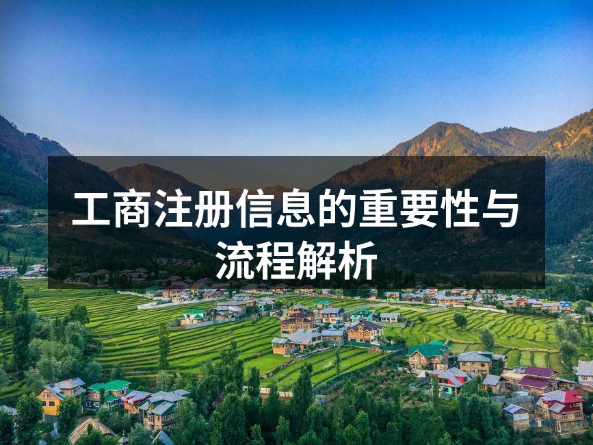 工商注册信息的重要性与流程解析