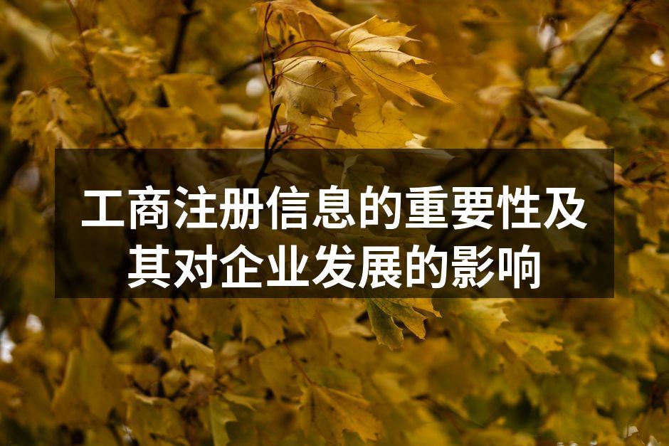 工商注册信息的重要性及其对企业发展的影响