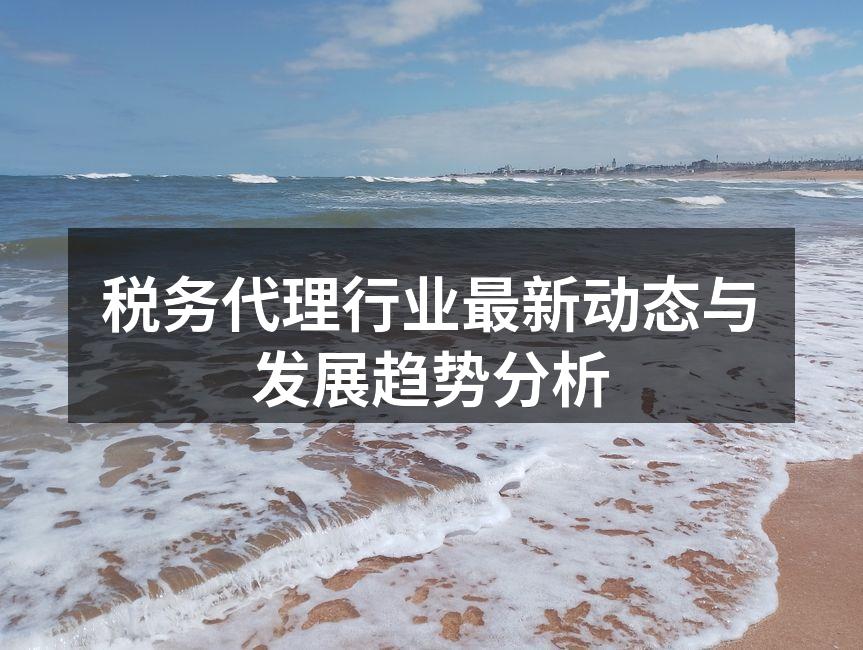 税务代理行业最新动态与发展趋势分析