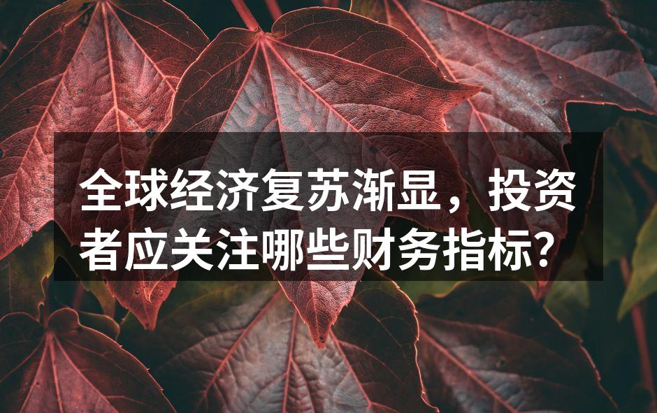 全球经济复苏渐显，投资者应关注哪些财务指标？