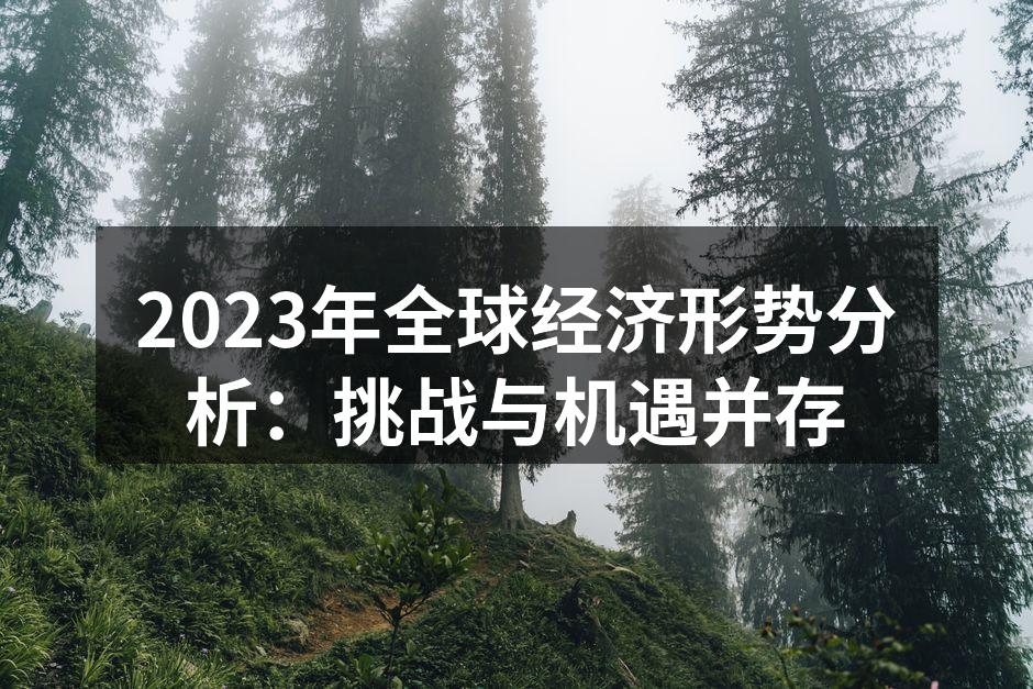 2023年全球经济形势分析：挑战与机遇并存