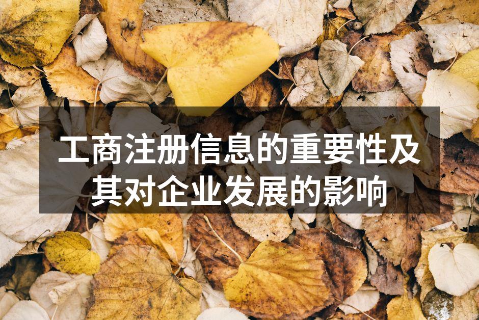 工商注册信息的重要性及其对企业发展的影响