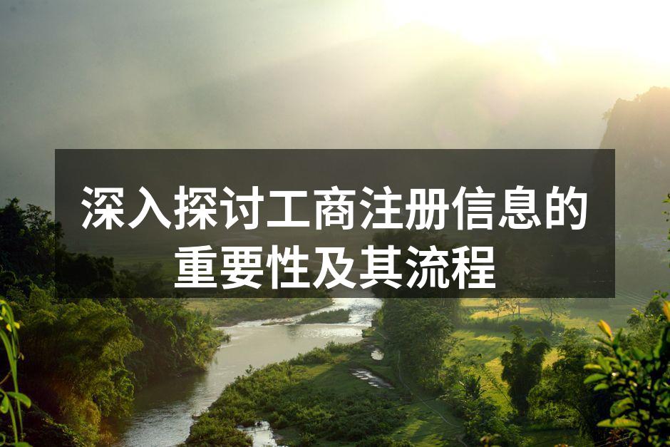 工商注册流程示意图
