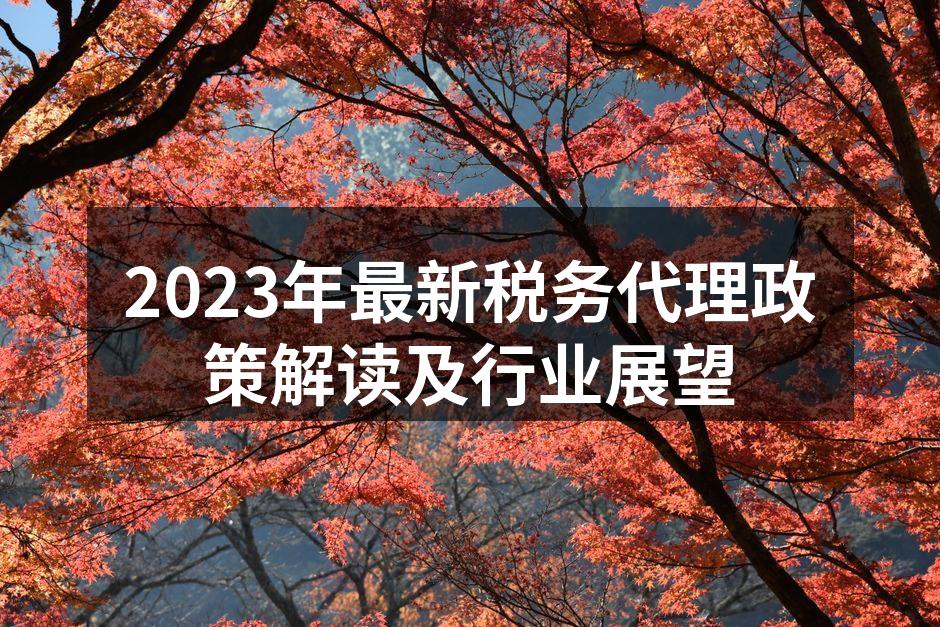2023年最新税务代理政策解读及行业展望