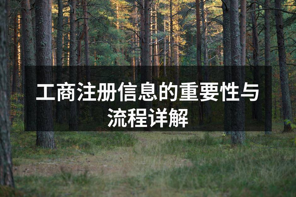 工商注册信息的重要性与流程详解