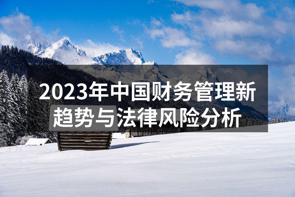 2023年中国财务管理新趋势与法律风险分析