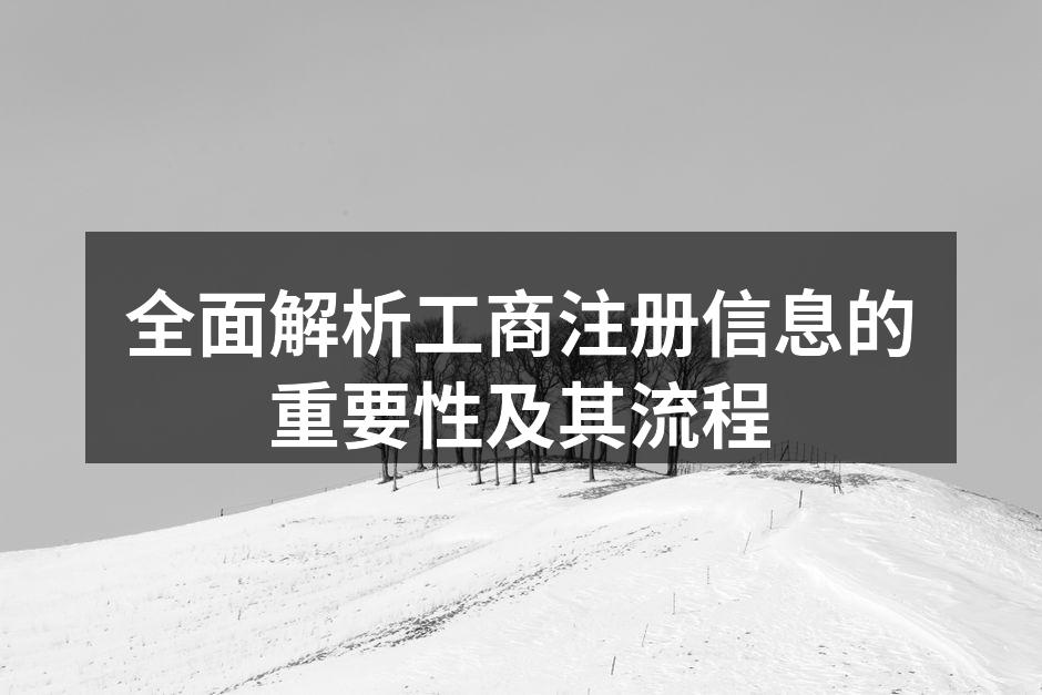 全面解析工商注册信息的重要性及其流程